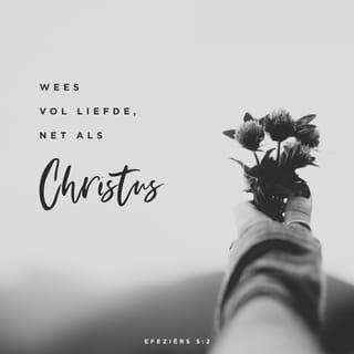 Efeze 5:2 - en wandel in de liefde, zoals ook Christus ons liefgehad heeft en Zichzelf voor ons heeft overgegeven als een offergave en slachtoffer, tot een aangename geur voor God.