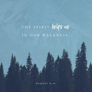 Romanos 8:26 - Pues entonces b'anon ub'an porque injayjayon y tamar era uc'ani tua' cacojco tz'ustaca tua' cach'ami e tacarsiaj lo que c'ani uyajc'on Unawalir e Dios. Porque machi canata cocha tua' cac'ajti taca e Dios tamar lo que intam macuir cawalma, pero Unawalir e Dios uwira tunor era y axin uc'ajti taca e Dios ticab'a taca e ajcner xe' ma erer arob'na tama inte' ojroner.