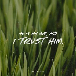 Psalm 91:2 - can say to him,
“You are my defender and protector.
You are my God; in you I trust.”