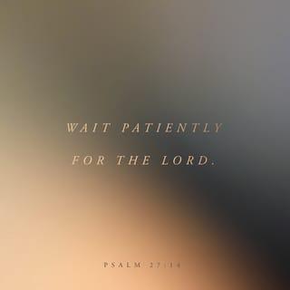 Psalms 27:14 - Wait for the LORD;
be strong and take heart
and wait for the LORD.