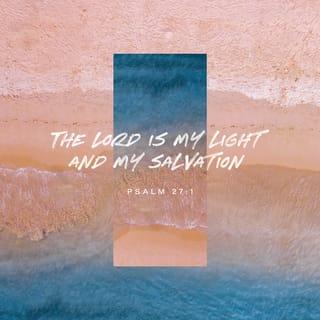 Psalms 27:1 - The LORD is my light and my salvation;
I will fear no one.
The LORD protects me from all danger;
I will never be afraid.