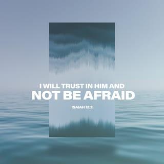 Isaiah 12:2 - See, God has come to save me.
I will trust in him and not be afraid.
The LORD GOD is my strength and my song;
he has given me victory.”