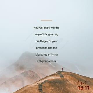 Psalms 16:11 - You will show me the way of life,
granting me the joy of your presence
and the pleasures of living with you forever.