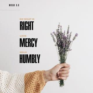 Micah 6:8 - He hath shewed thee, O man, what is good; and what doth the LORD require of thee, but to do justly, and to love mercy, and to walk humbly with thy God?