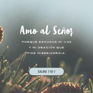 Psalms 116:1-10 - I love the LORD, for he heard my voice;
he heard my cry for mercy.
Because he turned his ear to me,
I will call on him as long as I live.
The cords of death entangled me,
the anguish of the grave came over me;
I was overcome by distress and sorrow.
Then I called on the name of the LORD:
“LORD, save me!”
The LORD is gracious and righteous;
our God is full of compassion.
The LORD protects the unwary;
when I was brought low, he saved me.
Return to your rest, my soul,
for the LORD has been good to you.
For you, LORD, have delivered me from death,
my eyes from tears,
my feet from stumbling,
that I may walk before the LORD
in the land of the living.
I trusted in the LORD when I said,
“I am greatly afflicted”