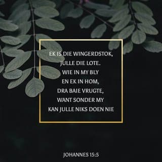 JOHANNES 15:4-5 - Julle moet in My bly en Ek in julle. 'n Loot kan nie uit sy eie vrugte dra as hy nie aan die wingerdstok bly nie; en so julle ook nie as julle nie in My bly nie.
“Ek is die wingerdstok, julle die lote. Wie in My bly en Ek in hom, dra baie vrugte, want sonder My kan julle niks doen nie.