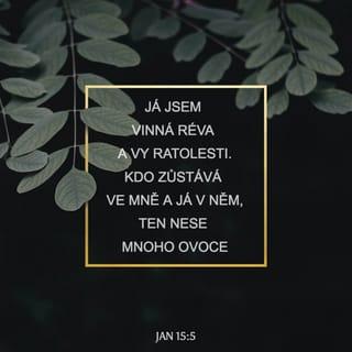 Jan 15:5 CSP Český studijní překlad
