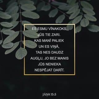 Jāņa 15:5 RT65