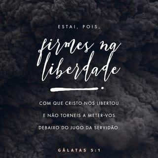 Gálatas 5:1-6 NVI Nova Versão Internacional - Português