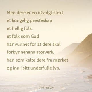 Første Petersbrev 2:9-10 - Men dere er valgt ut til å være et hellig folk, en kongelig slekt og hellige prester. Dere er et folk som er eid av Gud, og derfor skal dere fortelle andre om de store og veldige tingene som Han gjør. Han kalte dere jo ut av det mørket som dere levde i, og inn i sitt underfulle lys. Dere som før ikke var et folk, er nå blitt Guds eget folk. Før kjente dere ikke til Guds barmhjertighet, men nå har dere funnet Hans barmhjertighet og tatt imot den.