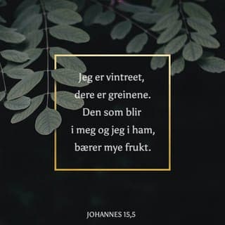 Johannes’ evangelium 15:3-5 - Dere er allerede rene, siden dere har tatt til dere de ordene Jeg har talt til dere. Bli i Meg, så skal Jeg bli i dere. Jeg er treet, og dere er grenene. Slik som en gren ikke kan bære frukt av seg selv, uten at den blir i vintreet, slik kan heller ikke dere bære frukt, uten at dere blir i Meg. Den som blir i Meg og Jeg i ham, bærer mye frukt. For uten Meg kan dere ikke gjøre noe som helst.