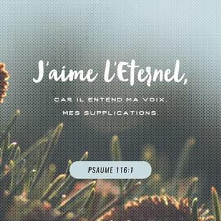 Psaumes 116:1-8 - J’aime le SEIGNEUR,
car il m’écoute quand je crie vers lui.
Il a tendu vers moi son oreille,
et toute ma vie, je ferai appel à lui.
La mort me tenait déjà attaché,
le monde des morts m’avait pris dans ses chaînes,
j’avais très peur et j’étais très malheureux.
J’ai appelé le SEIGNEUR par son nom :
« Ah ! SEIGNEUR, sauve-moi ! »
Le SEIGNEUR a pitié, il est juste,
notre Dieu aime avec tendresse.
Le SEIGNEUR protège les gens simples,
j’étais faible, il m’a sauvé.
Allons, je dois retrouver mon calme,
car le SEIGNEUR m’a fait du bien.
Tu m’as sauvé de la mort, tu as essuyé mes larmes,
tu m’as empêché de tomber.
