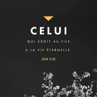 Jean 3:36 - Celui qui croit au Fils a la vie éternelle ; celui qui refuse de croire au Fils n'aura pas cette vie, mais il reste exposé à la colère de Dieu. »
Jean-Baptiste témoigne de sa foi et invite les croyants de tous les temps à faire de même. Leur rôle est d'affirmer que Jésus vient de Dieu, à la différence de tous les « sauveurs » autoproclamés. Parce que Dieu habite pleinement en lui, Jésus est capable de donner l'Esprit et la vie sans mesure à qui croit en lui.