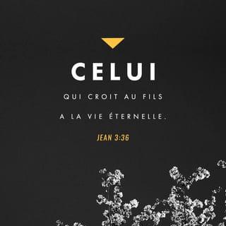 Jean 3:36 - Celui qui croit au Fils a la vie éternelle; celui qui ne croit pas au Fils ne verra pas la vie, mais la colère de Dieu reste au contraire sur lui.»