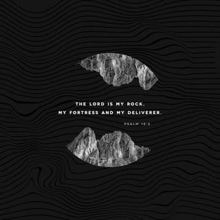 Psalms 18:2 - The LORD is my solid rock,
my fortress, my rescuer.
My God is my rock—
I take refuge in him!—
he’s my shield,
my salvation’s strength,
my place of safety.