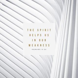 Romans 8:26 - In the same way the Spirit [comes to us and] helps us in our weakness. We do not know what prayer to offer or how to offer it as we should, but the Spirit Himself [knows our need and at the right time] intercedes on our behalf with sighs and groanings too deep for words.