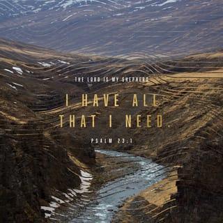 Psalms 23:1-6 - The LORD is my shepherd;
I have what I need.
He lets me lie down in green pastures;
he leads me beside quiet waters.
He renews my life;
he leads me along the right paths
for his name’s sake.
Even when I go through the darkest valley,
I fear no danger,
for you are with me;
your rod and your staff — they comfort me.

You prepare a table before me
in the presence of my enemies;
you anoint my head with oil;
my cup overflows.
Only goodness and faithful love will pursue me
all the days of my life,
and I will dwell in the house of the LORD
as long as I live.