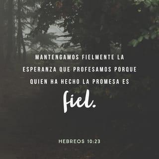 Hebreos 10:23 RVR1960