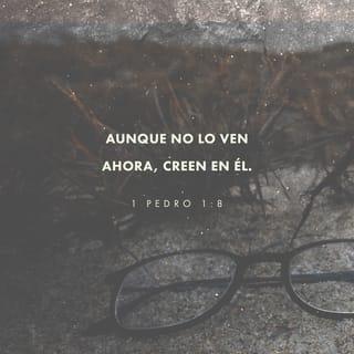 1 Pedro 1:8 RVR1960
