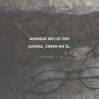 1 PEDRO 1:7-11 - para que sometida a prueba vuestra fe, mucho más preciosa que el oro, el cual aunque perecedero se prueba con fuego, sea hallada en alabanza, gloria y honra cuando sea manifestado Jesucristo, a quien amáis sin haberle visto, en quien creyendo, aunque ahora no lo veáis, os alegráis con gozo inefable y glorioso; obteniendo el fin de vuestra fe, que es la salvación de vuestras almas.
Los profetas que profetizaron de la gracia destinada a vosotros, inquirieron y diligentemente indagaron acerca de esta salvación, escudriñando qué persona y qué tiempo indicaba el Espíritu de Cristo que estaba en ellos, el cual anunciaba de antemano los sufrimientos de Cristo, y las glorias que vendrían tras ellos.