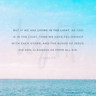1 John 1:7 - But if we walk in the light, as he is in the light, we have fellowship with one another, and the blood of Jesus, his Son, purifies us from all sin.