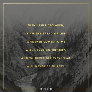 John 6:35 - Jesus replied, I am the Bread of Life. He who comes to Me will never be hungry, and he who believes in and cleaves to and trusts in and relies on Me will never thirst any more (at any time).