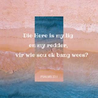 PSALMS 27:1 - Die HERE is my lig
en my redding.
Vir wie moet ek dan vrees?
Die HERE is my lewenstoevlug.
Vir wie sal ek dan bang wees?