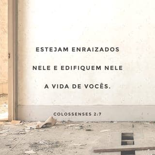 Colossenses 2:6-8 - Portanto, já que vocês aceitaram Cristo Jesus como Senhor, vivam unidos com ele. Estejam enraizados nele, construam a sua vida sobre ele e se tornem mais fortes na fé, como foi ensinado a vocês. E deem sempre graças a Deus.
Tenham cuidado para que ninguém os torne escravos por meio de argumentos sem valor, que vêm da sabedoria humana. Essas coisas vêm dos ensinamentos de criaturas humanas e dos espíritos que dominam o Universo e não de Cristo.
