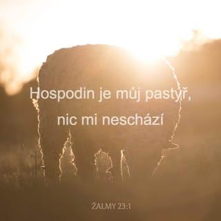 Žalmy 23:1 - Davidův žalm.
Hospodin je můj pastýř, nebudu mít nedostatek.