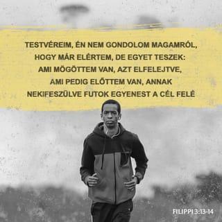 Filippi 3:13-14 - Testvéreim, én nem gondolom magamról, hogy már elértem, de egyet teszek: ami mögöttem van, azt elfelejtve, ami pedig előttem van, annak nekifeszülve futok egyenest a cél felé, Isten mennyei elhívásának Krisztus Jézusban adott jutalmáért.