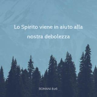 Lettera ai Romani 8:25-30 - Ma se speriamo ciò che non vediamo, lo aspettiamo con pazienza.
Allo stesso modo ancora, lo Spirito viene in aiuto alla nostra debolezza, perché non sappiamo pregare come si conviene; ma lo Spirito intercede egli stesso per noi con sospiri ineffabili; e colui che esamina i cuori sa quale sia il desiderio dello Spirito, perché egli intercede per i santi secondo il volere di Dio.
Or sappiamo che tutte le cose cooperano al bene di quelli che amano Dio, i quali sono chiamati secondo il suo disegno. Perché quelli che ha preconosciuti, li ha pure predestinati a essere conformi all’immagine del Figlio suo, affinché egli sia il primogenito tra molti fratelli; e quelli che ha predestinati, li ha pure chiamati; e quelli che ha chiamati, li ha pure giustificati; e quelli che ha giustificati, li ha pure glorificati.
