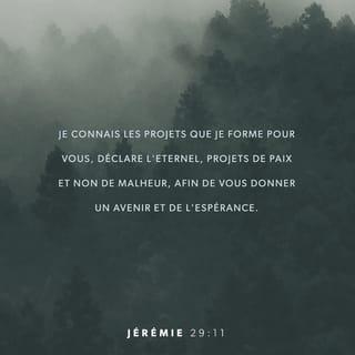 Jérémie 29:11 LSG La Sainte Bible par Louis Segond 1910