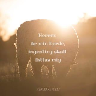 Psaltaren 23:1 - En psalm av David.
Herren är min herde,
ingenting skall fattas mig.