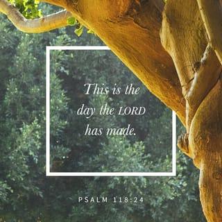 Psalm 118:24 - This is the day which the LORD hath made;
We will rejoice and be glad in it.
