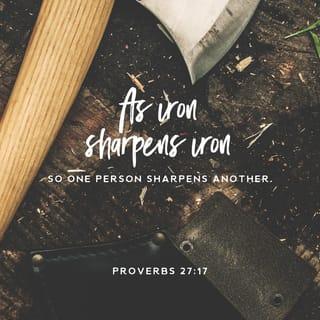 Proverbs 27:17 - ⌞As⌟ iron sharpens iron,
so one person sharpens the wits of another.