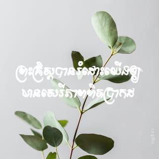 កាឡាទី 5:1-4 - ព្រះគ្រិស្ត*បានរំដោះយើងឲ្យមានសេរីភាពពិតប្រាកដ ហេតុនេះ ចូររក្សាសេរីភាពនេះឲ្យបានខ្ជាប់ខ្ជួន កុំបណ្ដោយខ្លួនធ្លាក់ទៅជាខ្ញុំបម្រើទៀតឡើយ។
រីឯខ្ញុំ ប៉ូល ខ្ញុំសូមជម្រាបបងប្អូនថា ប្រសិនបើបងប្អូនទទួលពិធីកាត់ស្បែក*នោះ ព្រះគ្រិស្តលែងមានប្រយោជន៍អ្វីដល់បងប្អូនទៀតហើយ។ ចំពោះអស់អ្នកដែលចង់ទទួលពិធីកាត់ស្បែក ខ្ញុំសូមបញ្ជាក់ប្រាប់ម្ដងទៀតថា ត្រូវតែកាន់តាមក្រឹត្យវិន័យទាំងស្រុងផងទៅ។ ប្រសិនបើបងប្អូនណាចង់បានសុចរិតដោយពឹងផ្អែកលើក្រឹត្យវិន័យ បងប្អូននោះបែកចេញពីព្រះគ្រិស្ត ហើយក៏ដាច់ចេញពីព្រះគុណរបស់ព្រះជាម្ចាស់ដែរ។