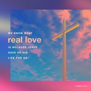 1 John 3:16 - We understand what love is when we realize that Christ gave his life for us. That means we must give our lives for other believers.