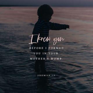 Jeremiah 1:5 - “Before I formed you in the womb I knew you,
before you were born I set you apart;
I appointed you as a prophet to the nations.”