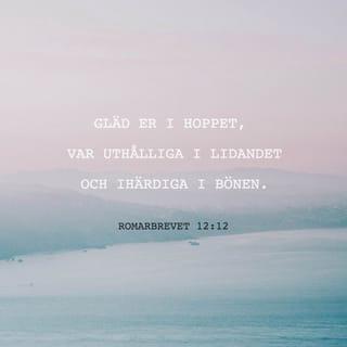 Romarbrevet 12:12 - Gläd er i hoppet, var uthålliga i lidandet och ihärdiga i bönen.