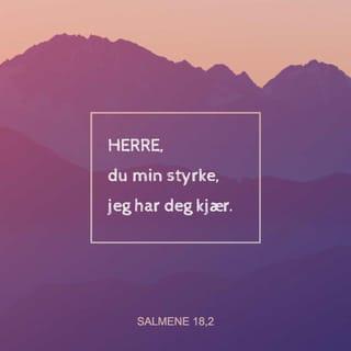 Salmene 18:2 NB