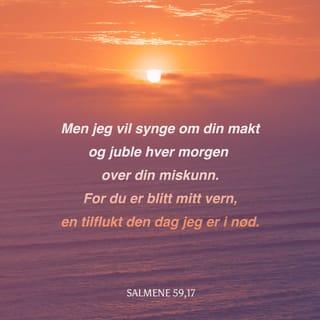 Salmene 59:16 NB