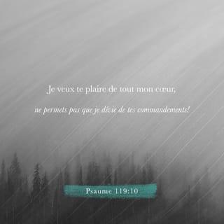 Psaumes 119:10 - Je veux te plaire ╵de tout mon cœur,
ne permets pas que je dévie ╵de tes commandements !