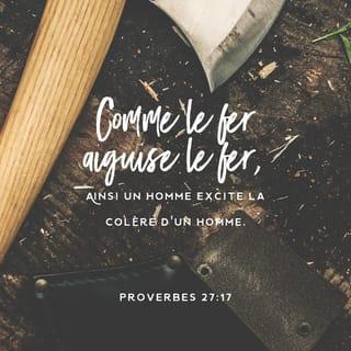 Proverbes 27:17 - Comme le fer aiguise le fer, ainsi un homme en aiguise un autre.