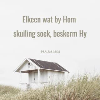 PSALMS 18:30-36 - Met u hulp loop ek 'n oormag storm,
met my God by my is geen stadsmuur vir my te hoog nie.
Wat God doen, is volmaak;
wat die Here sê, is suiwer.
Elkeen wat by Hom skuiling soek, beskerm Hy.
Waarlik, wie anders as die Here is God?
Ja, wie anders as ons God is 'n rots?
God omgord my met krag;
Hy maak my pad voorspoedig.
Hy maak my voete soos dié van 'n ribbok;
op hoë plekke laat Hy my stewig staan.
Hy leer my hande om oorlog te maak,
my arms om selfs die stramste boog te span.
Die redding wat U gebring het,
was vir my 'n beskerming,
u regterhand het my ondersteun,
deur u hulp het ek sterk geword.