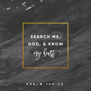 Psalms 139:23 - Search me, God, and know my heart.
Try me, and know my thoughts.