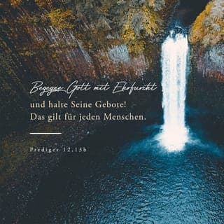 Prediger 12:13-14 - Zu guter Letzt lasst uns hören, welche Schlussfolgerung sich aus all dem ergibt: Begegne Gott mit Ehrfurcht und halte seine Gebote! Das gilt für jeden Menschen. Denn Gott wird Gericht halten über alles, was wir tun – sei es gut oder böse –, auch wenn es jetzt noch verborgen ist.