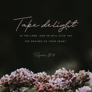 Psalms 37:4 - Delight yourself in the LORD;
And He will give you the desires of your heart.