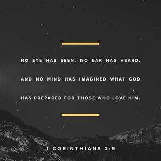 1 Corinthians 2:9 - But, as it is written,
“What no eye has seen, nor ear heard,
nor the heart of man imagined,
what God has prepared for those who love him”
