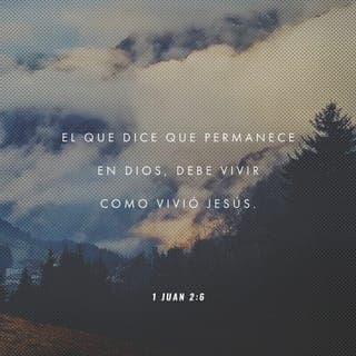 1 JUAN 2:5-10 - pero el que guarda su palabra, en este verdaderamente el amor de Dios se ha perfeccionado; por esto sabemos que estamos en él. El que dice que permanece en él, debe andar como él anduvo.
Hermanos, no os escribo mandamiento nuevo, sino el mandamiento antiguo que habéis tenido desde el principio; este mandamiento antiguo es la palabra que habéis oído desde el principio. Sin embargo, os escribo un mandamiento nuevo, que es verdadero en él y en vosotros, porque las tinieblas van pasando, y la luz verdadera ya alumbra. El que dice que está en la luz, y aborrece a su hermano, está todavía en tinieblas. El que ama a su hermano, permanece en la luz, y en él no hay tropiezo.