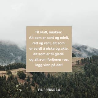 Filipperbrevet 4:8 - For øvrig, søsken, det som er sant, det som er ære verdt, det som er rettferdig, det som er rent, det som er verd å elske, de ting som det tales vel om, om det er et ærbart liv, og om det er noe som er verd å bli rost, så legg dere alt dette på sinne!
